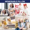Customized Irregular Pillow