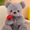 Plush Teddy Bear