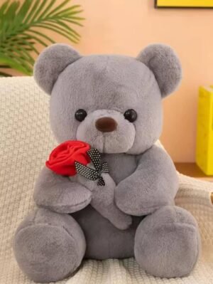 Plush Teddy Bear