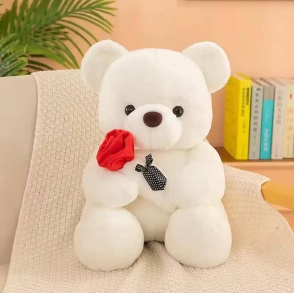 Plush Teddy Bear