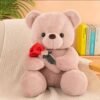 Plush Teddy Bear