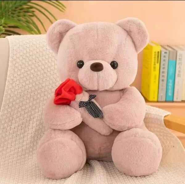 Plush Teddy Bear