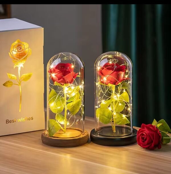Enchanted Rose in Glass Dome