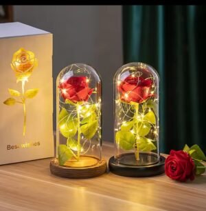 Enchanted Rose in Glass Dome