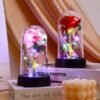Enchanted Rose in Glass Dome