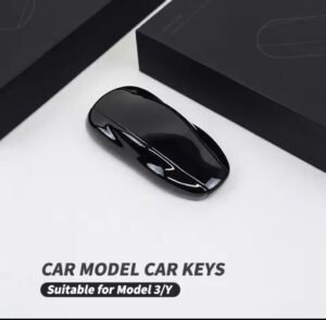 Tesla Model 3/Y Key