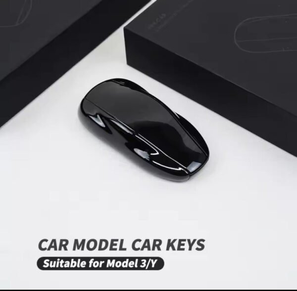 Tesla Model 3/Y Key